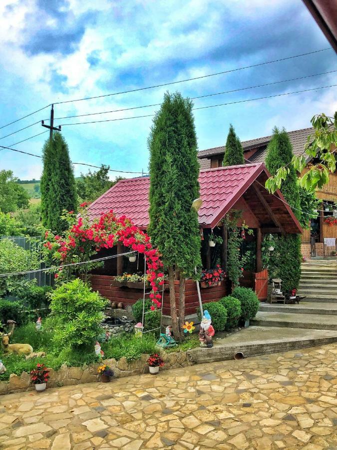 Hotel Casa Boico Gura Humorului Exterior foto