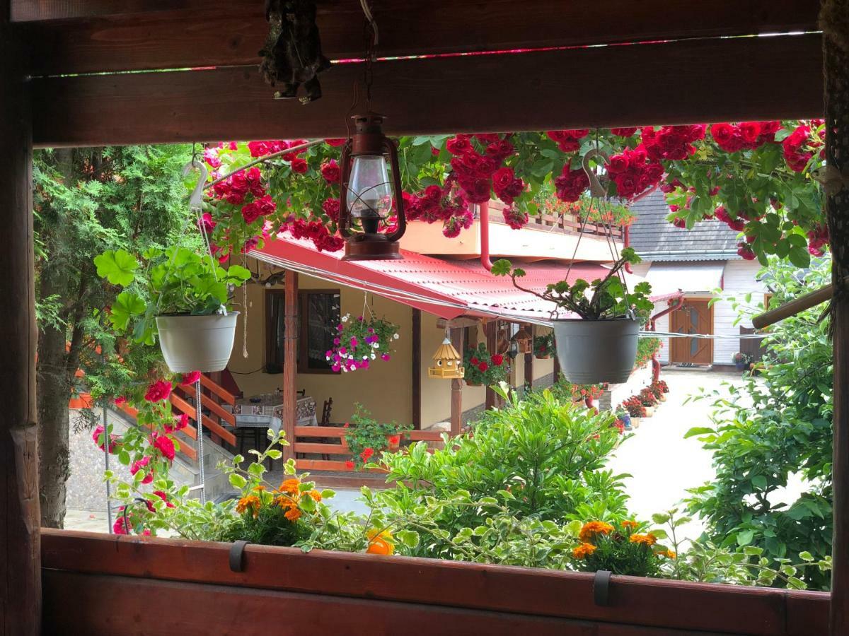 Hotel Casa Boico Gura Humorului Exterior foto